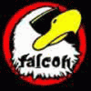 Falcon nl's Avatar