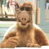 alf's Avatar